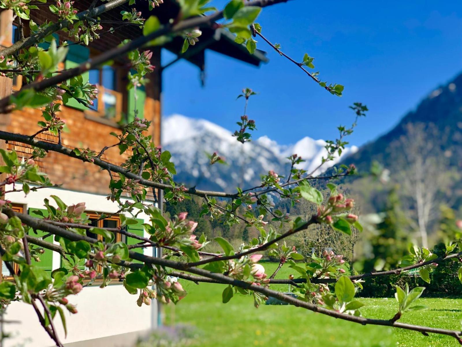 Landhaus Berktold Oberstdorf Exterior foto